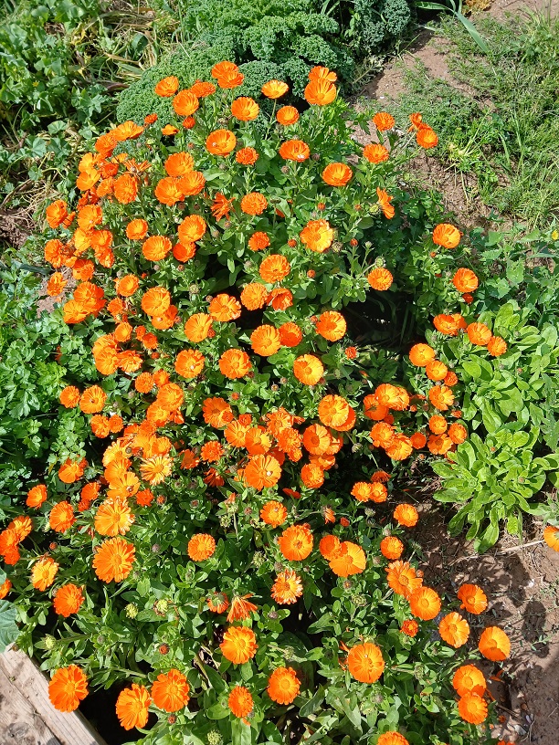 No s'ha trobat l'arxiu